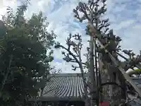 浄圓寺(大阪府)