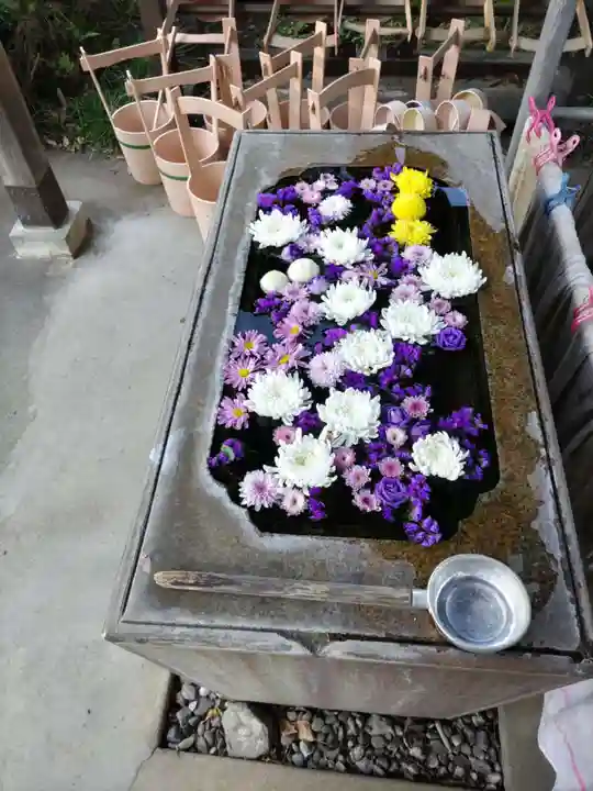 円泉寺の手水舎