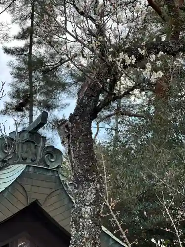 群馬県護国神社(群馬県)