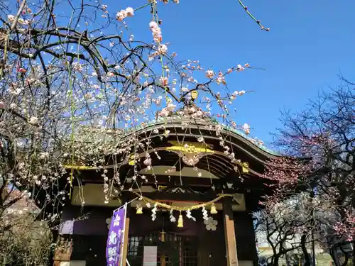 牛天神北野神社(東京都)