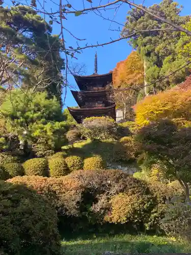 国宝 大法寺の庭園