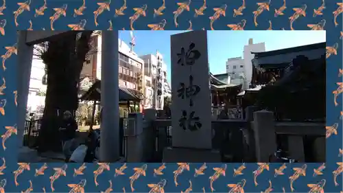 柏神社(千葉県)