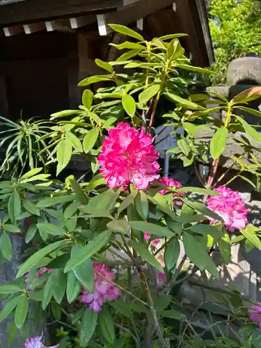 行田八幡神社(埼玉県)