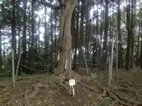 宮地嶽神社古宮跡地の自然