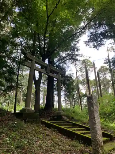 八幡神社の鳥居