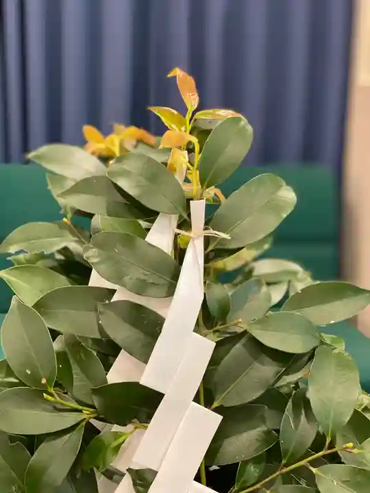 和泉國一之宮 大鳥大社(大阪府)