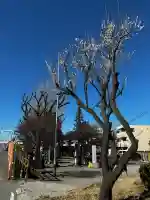 北野天神(仲六郷北野神社)の{uncategorized: "未分類", other: "その他", undefined: "問題あり", building: "その他建物", grave: "お墓", sacred_gate: "鳥居", guardian: "狛犬", statue: "像", buddha: "仏像", history: "歴史", nature: "自然", garden: "庭園", animal: "動物", pagoda: "塔", temizu: "手水舎", mountain_gate: "山門・神門", sanctuary: "本殿・本堂", subordinate: "末社・摂社", art: "芸術", scenery: "景色", jizo: "地蔵", ema: "絵馬", goshuin: "御朱印", omikuji: "おみくじ", items: "授与品その他", amulet: "お守り", goshuincho: "御朱印帳", eats: "食事", festival: "お祭り", votive_dance: "神楽", shichigosan: "七五三参", wedding: "結婚式", experience: "体験その他", initially: "初詣", around: "周辺", anti_infection: "感染症対策"}