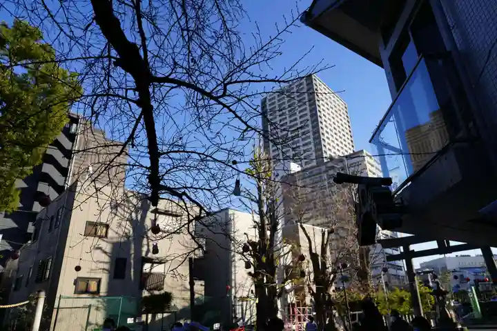 女躰大神の景色