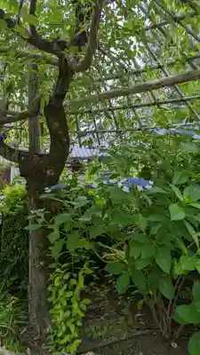 後白河院御聖蹟　法住寺(京都府)