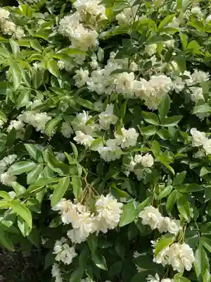 常照院（曼陀羅寺塔頭）(愛知県)