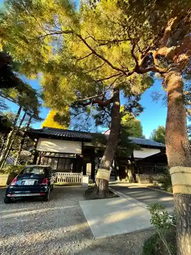 三寳寺(東京都)