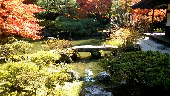 慈照寺(慈照禅寺・銀閣寺)の庭園