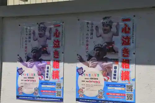 隠津島神社の体験その他