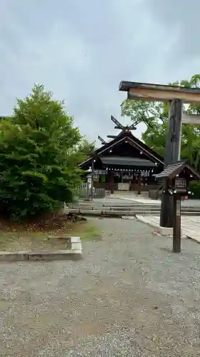 大鳥大社(大阪府)