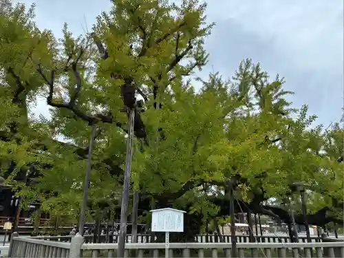 本願寺（西本願寺）(京都府)