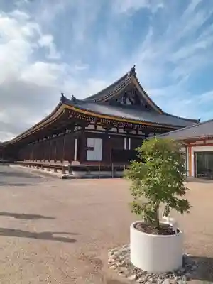 蓮華王院（三十三間堂）(京都府)