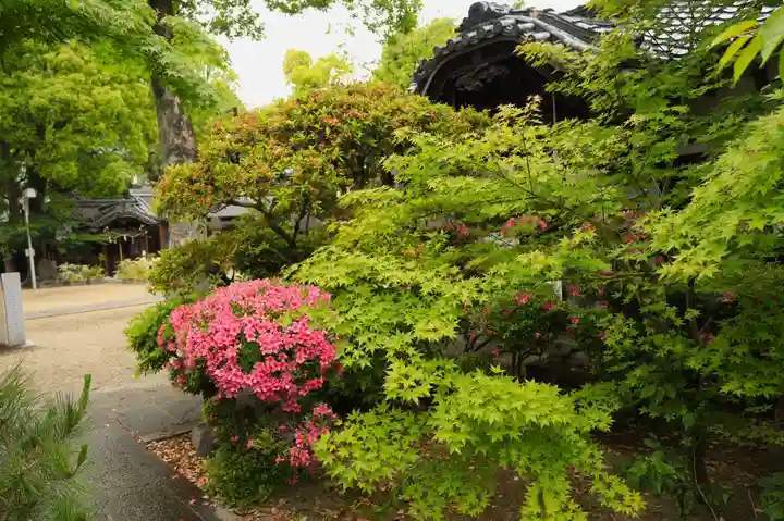 野見神社(大阪府)