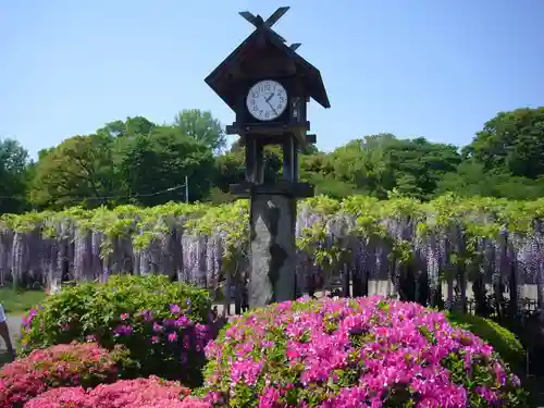 玉敷神社の庭園