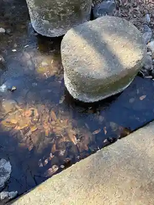 八耳堂(埼玉県)