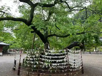 高麗神社(埼玉県)