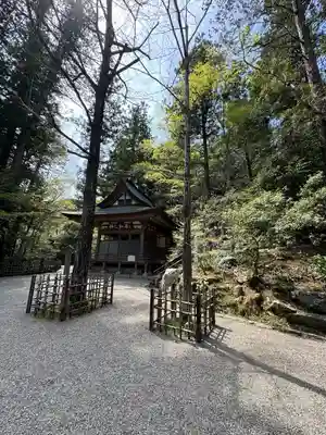 宝登山神社(埼玉県)