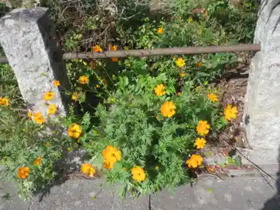 法養寺薬師堂(埼玉県)