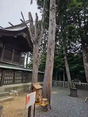 西宮八幡宮(山口県)