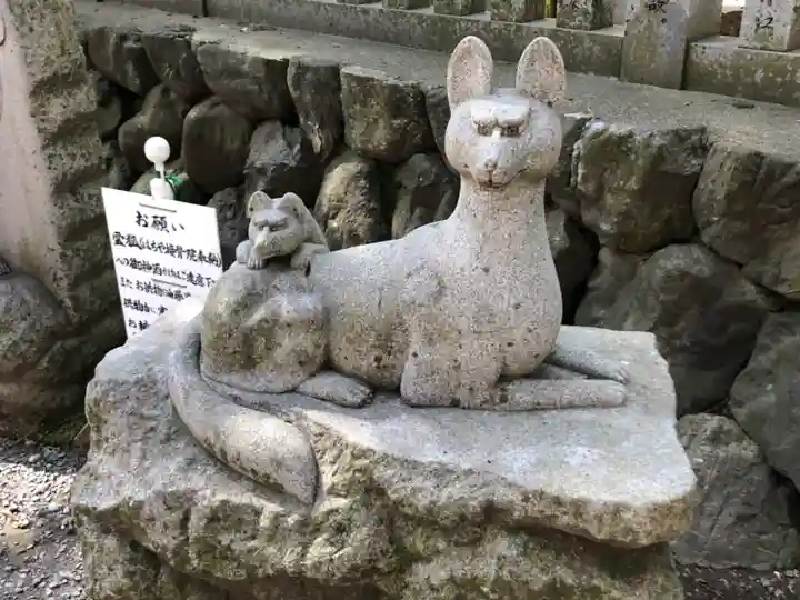 豊川閣 妙厳寺の狛犬