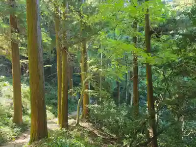 施福寺(大阪府)