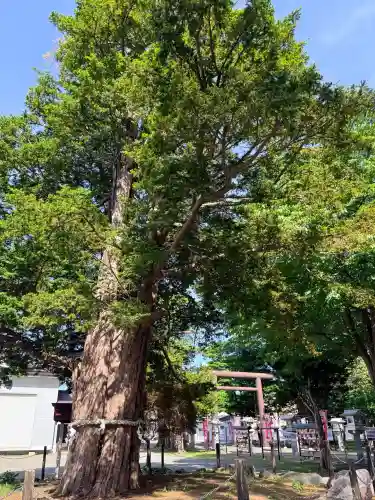 豊栄神社(北海道)
