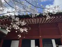 静岡浅間神社(静岡県)