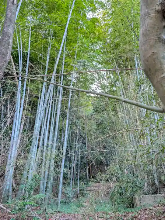 石清水八幡宮の{uncategorized: "未分類", other: "その他", undefined: "問題あり", building: "その他建物", grave: "お墓", sacred_gate: "鳥居", guardian: "狛犬", statue: "像", buddha: "仏像", history: "歴史", nature: "自然", garden: "庭園", animal: "動物", pagoda: "塔", temizu: "手水舎", mountain_gate: "山門・神門", sanctuary: "本殿・本堂", subordinate: "末社・摂社", art: "芸術", scenery: "景色", jizo: "地蔵", ema: "絵馬", goshuin: "御朱印", omikuji: "おみくじ", items: "授与品その他", amulet: "お守り", goshuincho: "御朱印帳", eats: "食事", festival: "お祭り", votive_dance: "神楽", shichigosan: "七五三参", wedding: "結婚式", experience: "体験その他", initially: "初詣", around: "周辺", anti_infection: "感染症対策"}