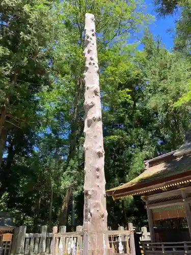 諏訪大社下社春宮(長野県)