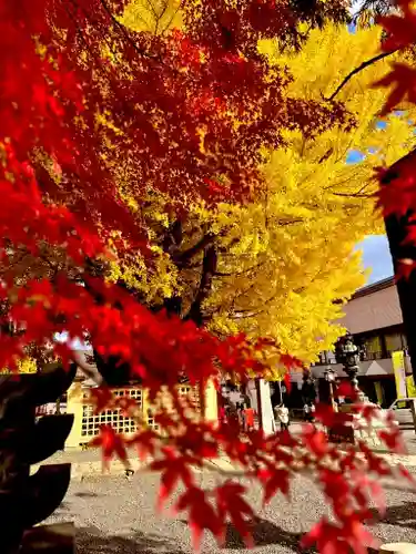 熊野大社(山形県)
