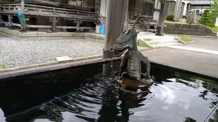 高龍寺の手水舎