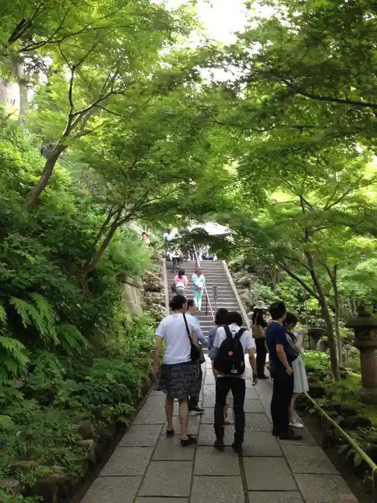 長谷寺(神奈川県)