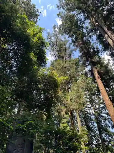 大宮温泉神社の自然