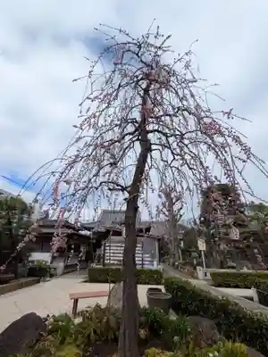 常性寺(東京都)