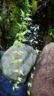 八龍社(稲島)の自然