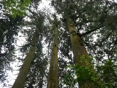 花園神社(茨城県)