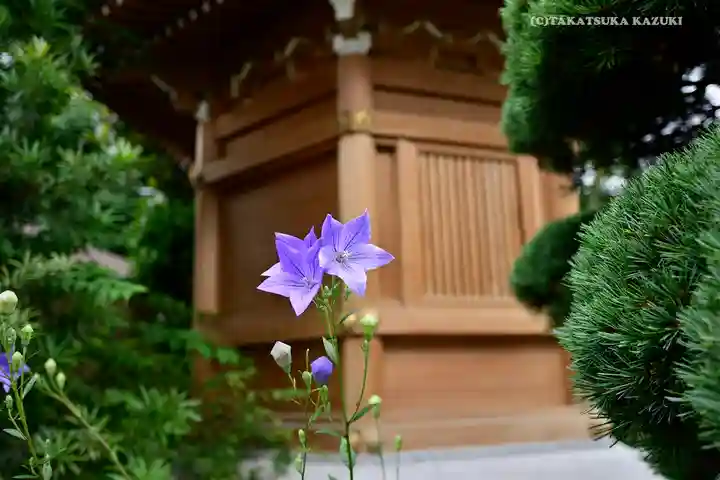 真光寺(東京都)