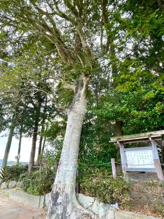豊原神社(三重県)