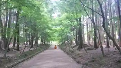 醍醐寺のその他建物