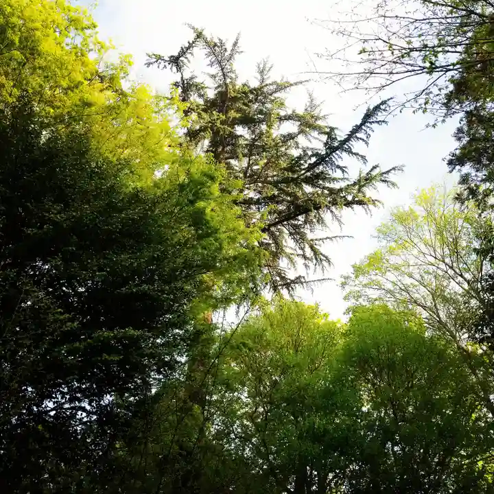 小金井神社の自然