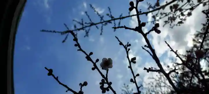 恵林寺(山梨県)