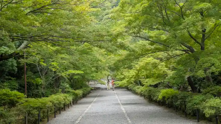 二尊院(京都府)