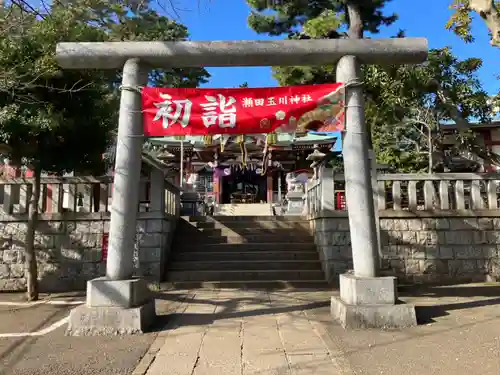 瀬田玉川神社(東京都)