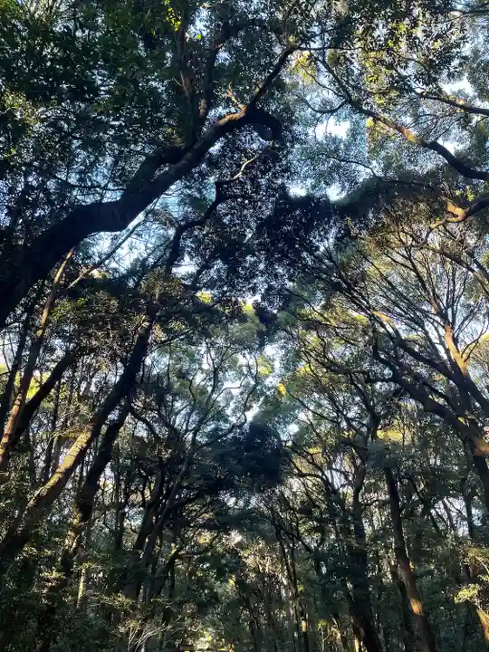 明治神宮(東京都)