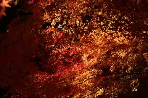 国宝 大法寺の自然