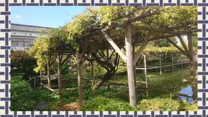 亀戸天神社(東京都)